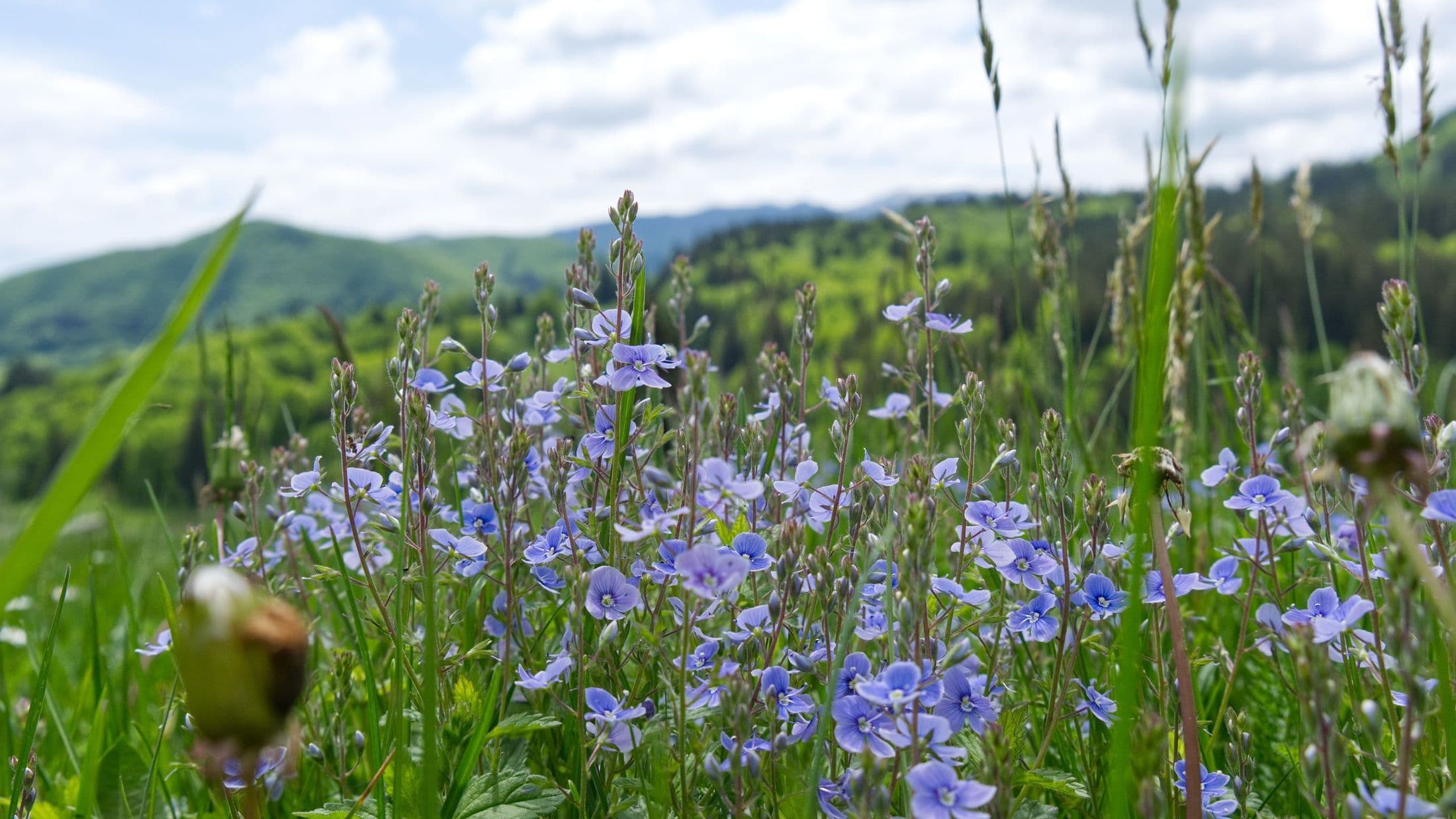 Reconnect through movement, nature, and shared experiences.