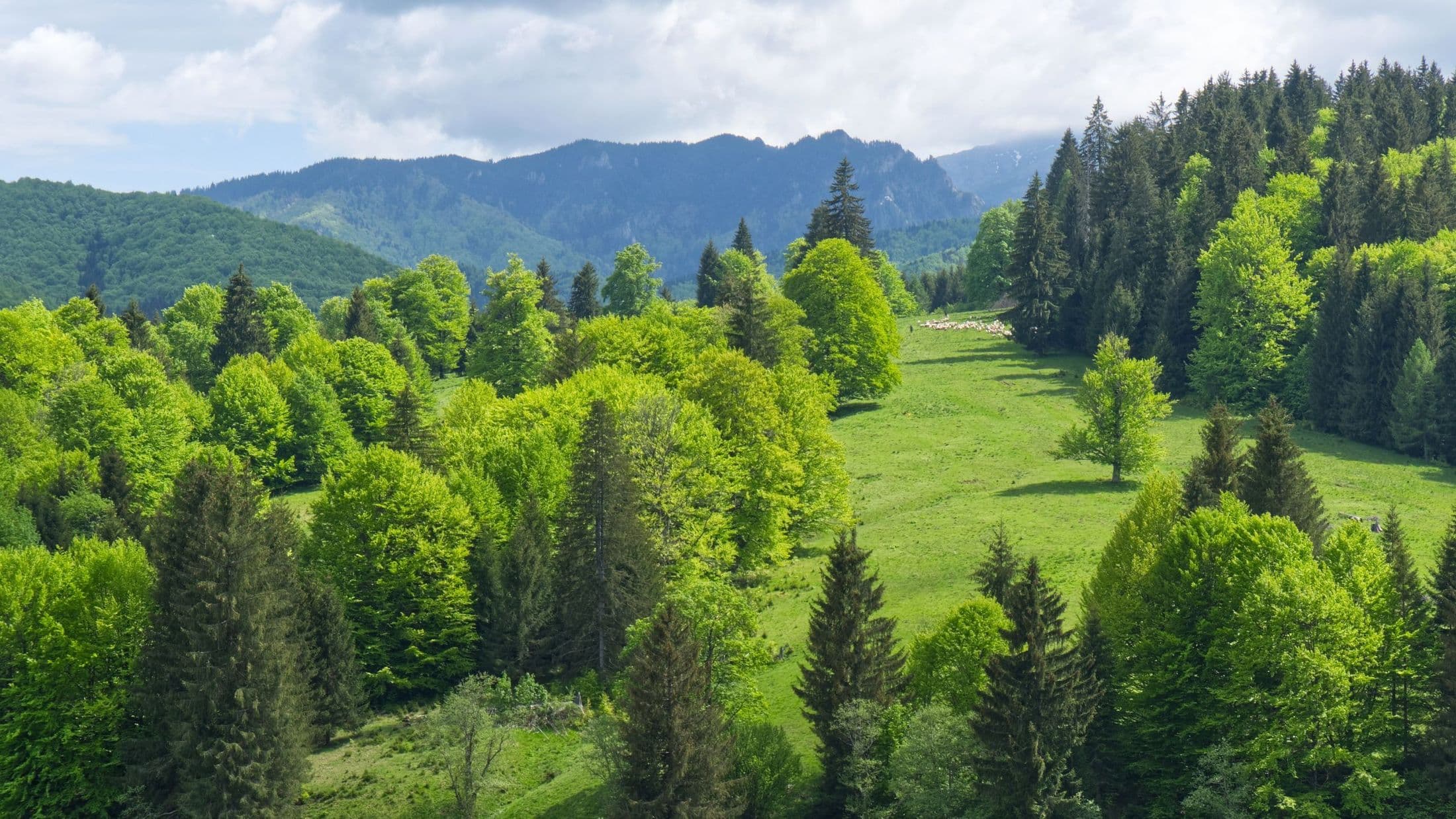 Things to see and do near The Valley Resort