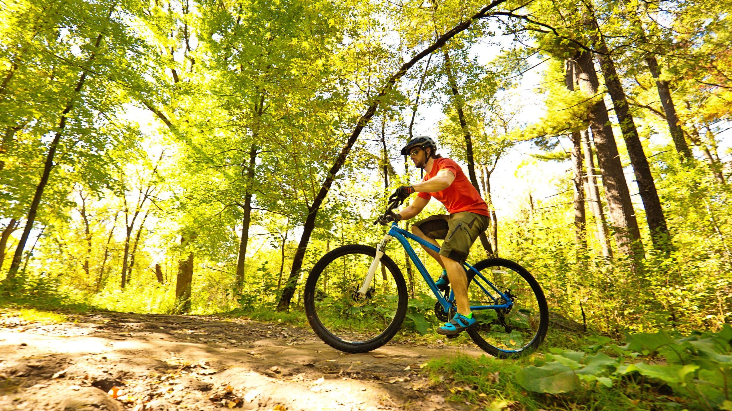 The Valley Resort - Bike Rental Facility