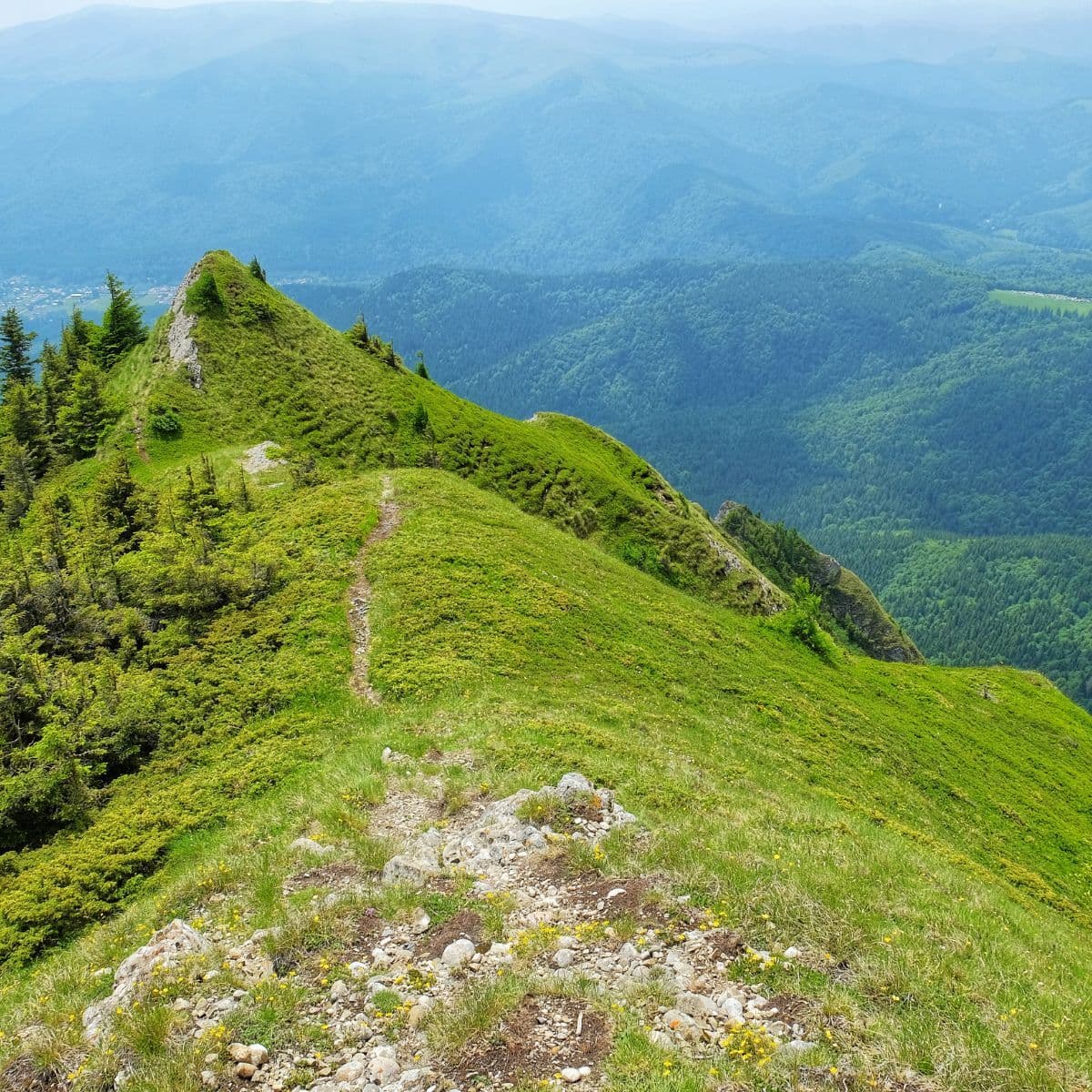 Ciucaș Trails