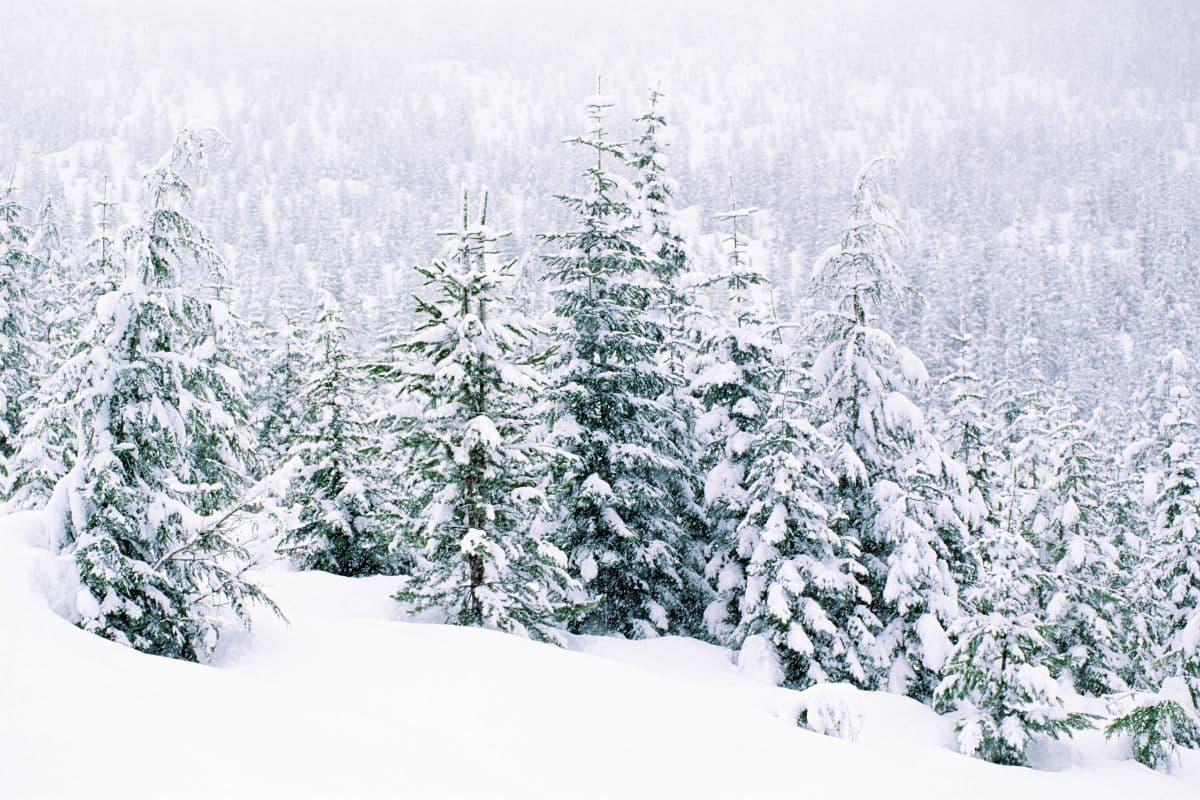 The Valley Resort - Winter holiday offer - Winter made visible