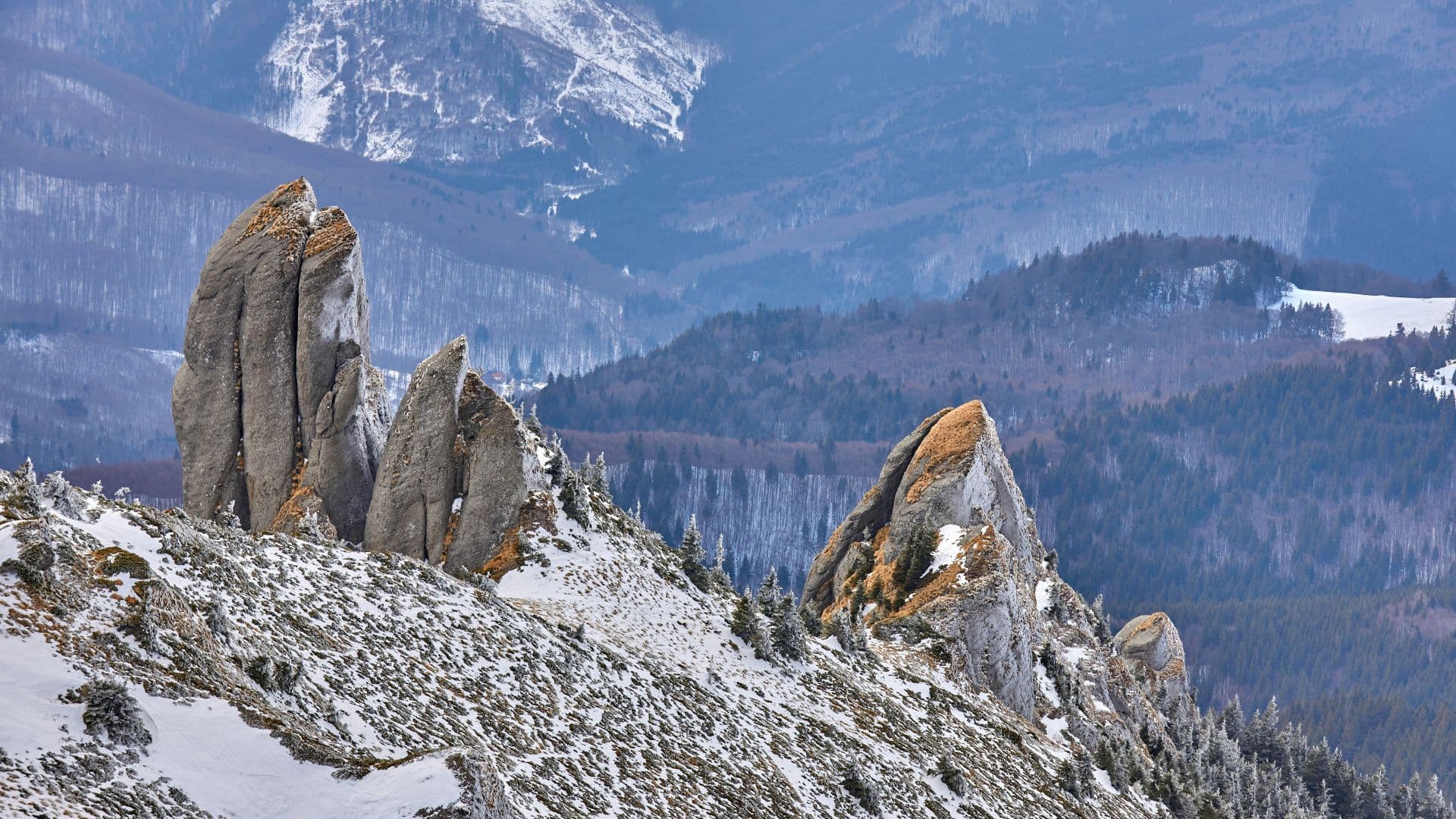 Cabana Ciucaș - Ciucaș Peak