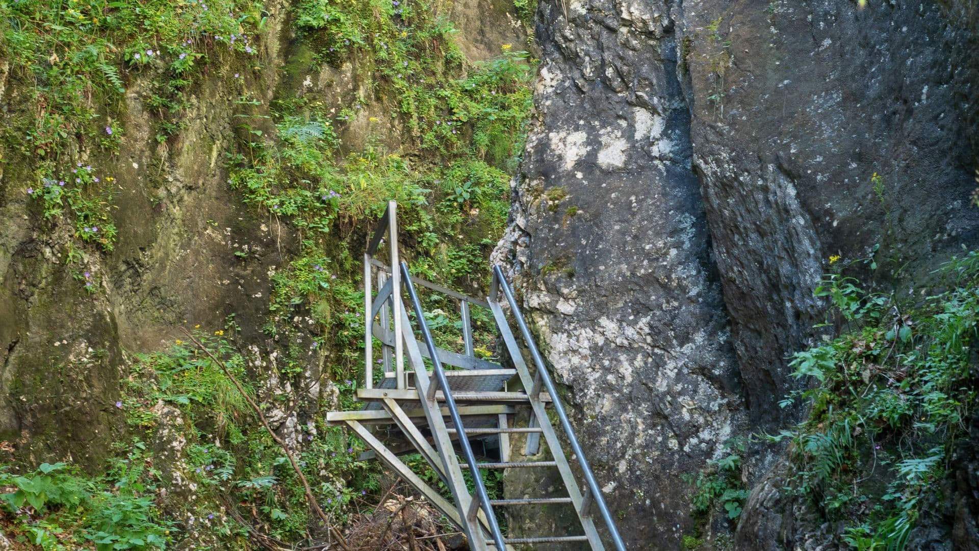 Canionul 7 Scări