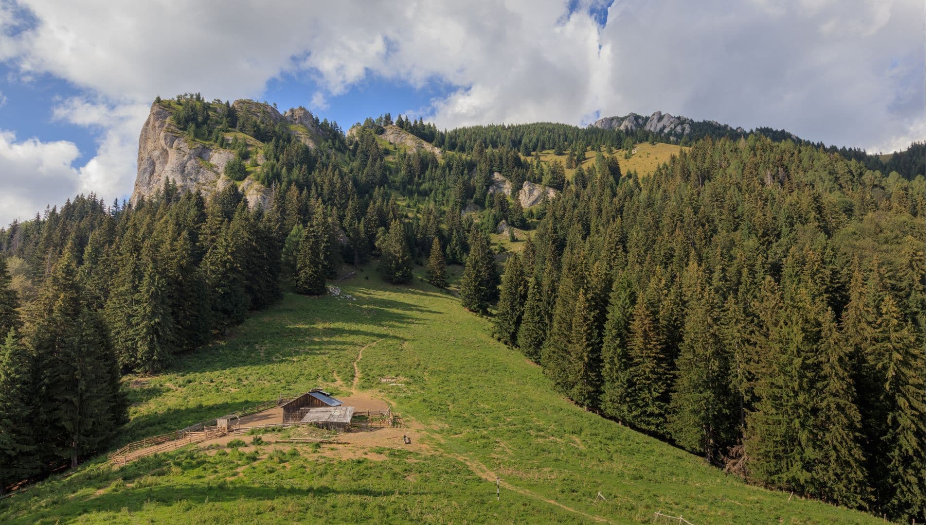 Cheia - Gropșoarele - Zăganu - Șaua Chirușca
