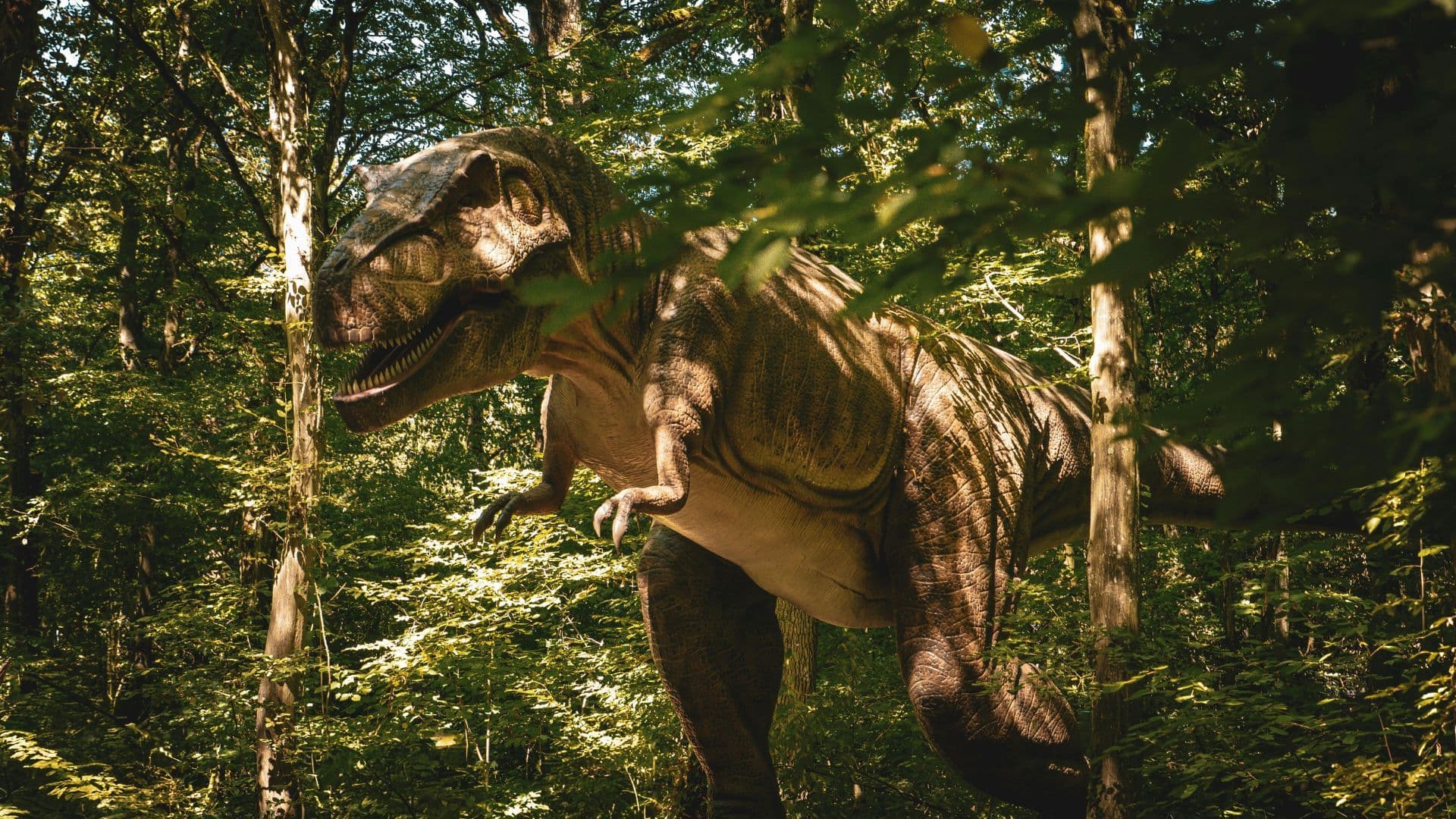 Dino Parc Râșnov