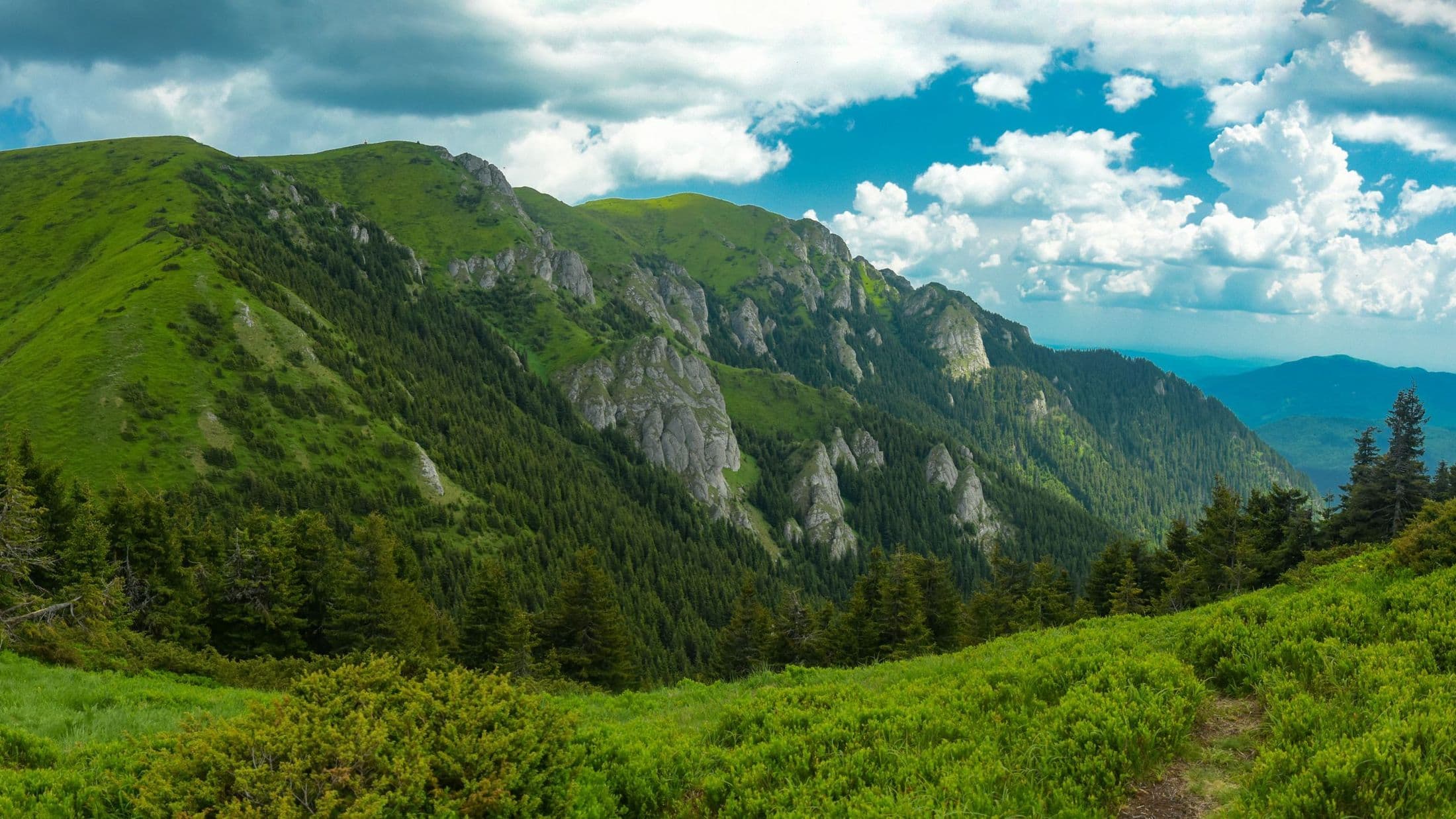 5 mountain trails in the Ciucaș Mountains