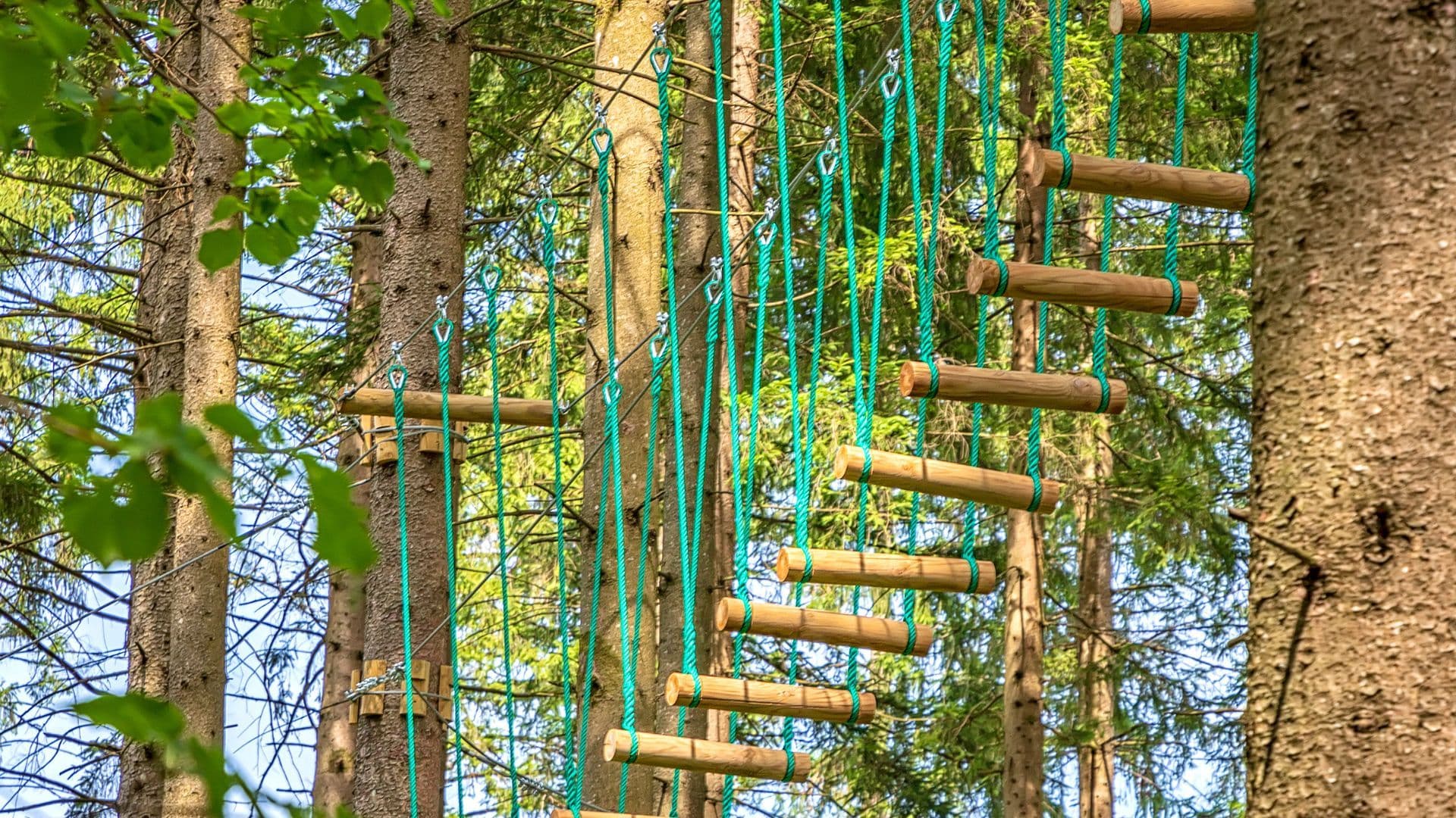 Parc de Aventură Brașov