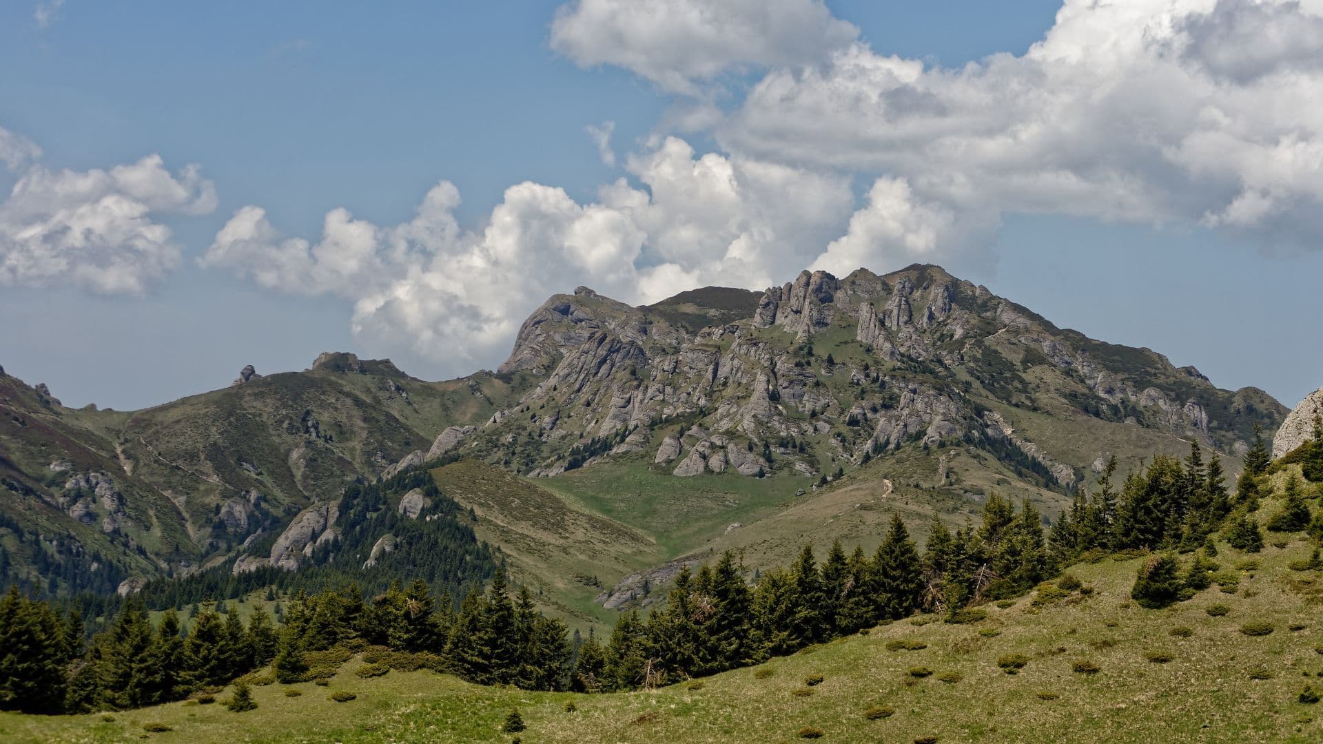 Pasul Bratocea - Șaua Tigăilor - Ciucaș Peak